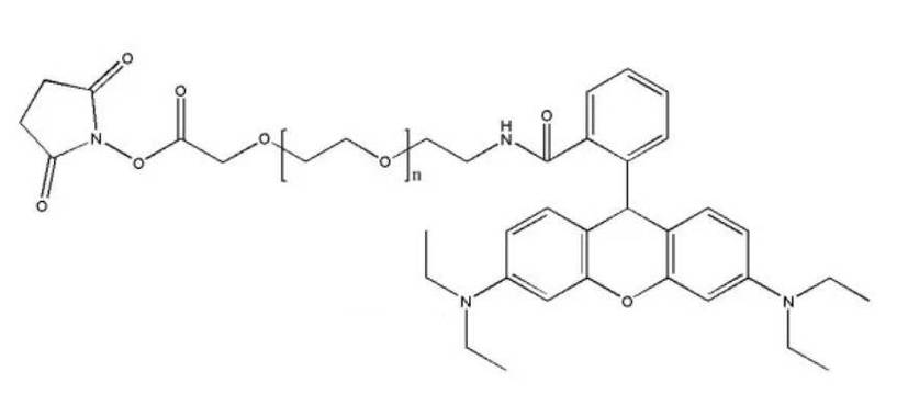 scm-peg-rb,rhodamine b-peg-scm具有良好的荧光性质_罗丹明_生物